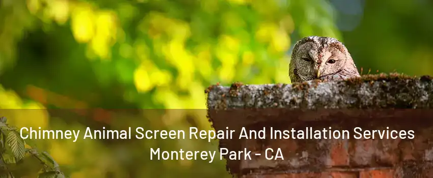 Chimney Animal Screen Repair And Installation Services Monterey Park - CA