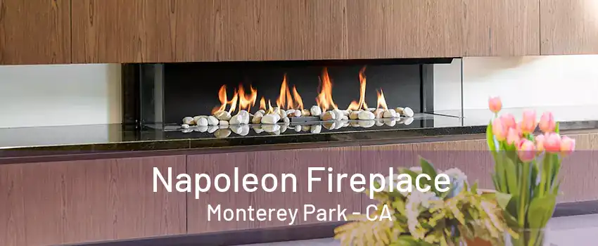 Napoleon Fireplace Monterey Park - CA